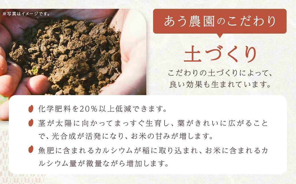 【令和6年産】 ひめの凜プレミアム 5kg 米 お米 白米 ご飯 【えひめの町（超）推し！（鬼北町）】（389-1）