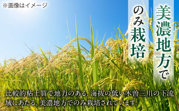 ハツシモ はしつも すし飯 お米 米 こめ 白米 5kg 5キロ
