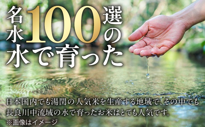 ハツシモ はしつも お米 米 こめ 白米 5kg 5キロ 定期便 米定期便