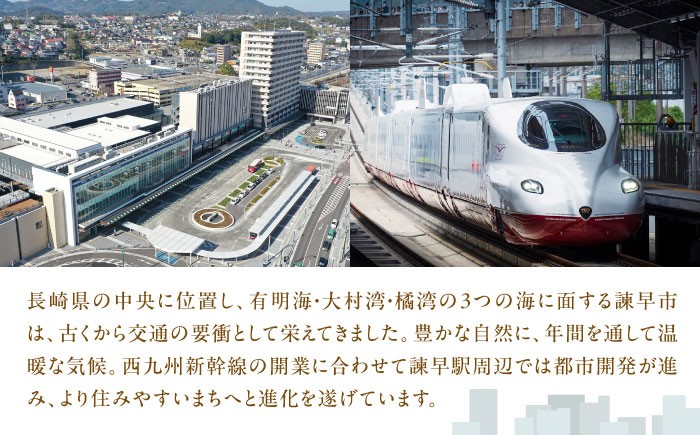 皿うどん さらうどん 長崎皿うどん ご当地皿うどん 皿うどんの素 長崎皿うどんの具 自家製皿うどん 長崎名物 中華料理 長崎