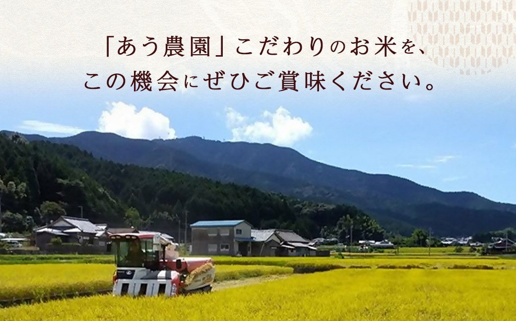 【令和6年産】ひめの凜プレミアム＆自然環境米 鬼北のせせらぎ（コシヒカリ）【えひめの町（超）推し！（鬼北町）】（390-1）