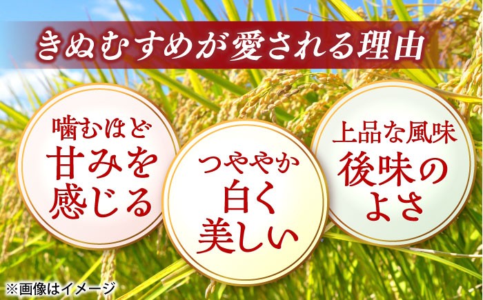 きぬむすめ 米 お米 白米 精米 ご飯 ごはん 産地直送 島根 松江 おすすめ