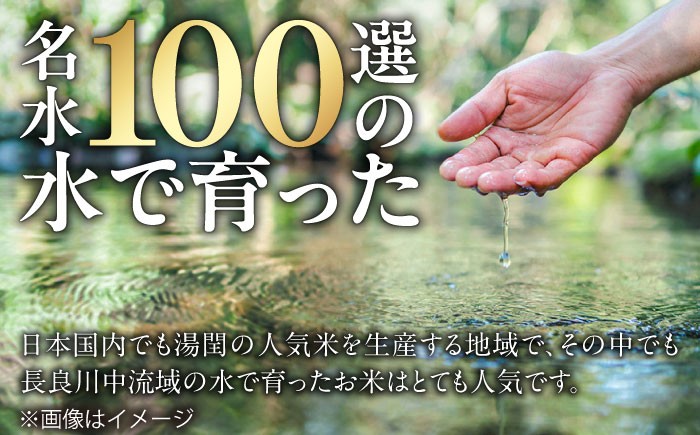 ハツシモ はしつも お米 米 こめ 白米 10kg 10キロ 定期便 米定期便