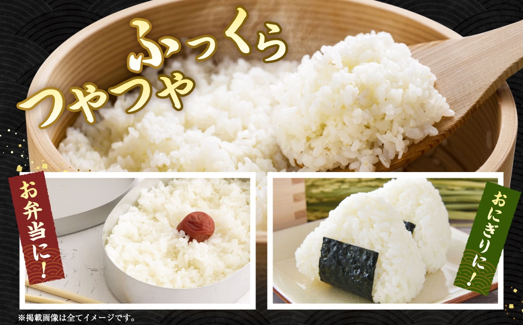 夢つくし 香春町産 わぎえ米 20kg