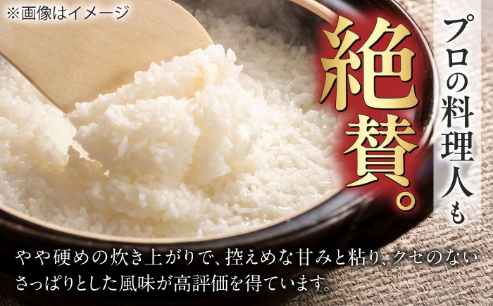 ハツシモ はしつも お米 米 こめ 白米 10kg 10キロ 定期便 米定期便