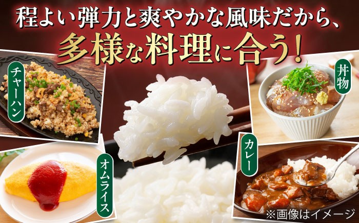 ハツシモ はしつも すし飯 お米 米 こめ 白米 5kg 5キロ