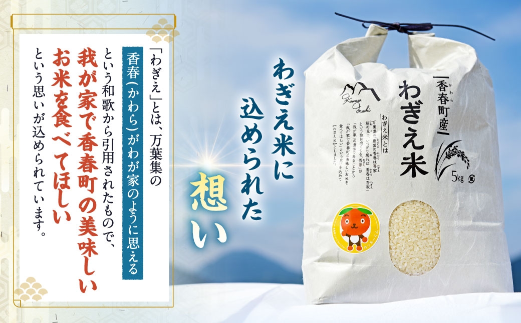 夢つくし 香春町産 わぎえ米 20kg