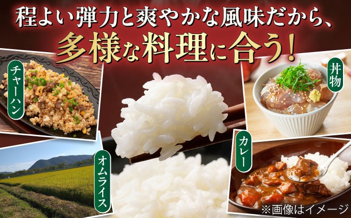 ハツシモ はしつも お米 米 こめ 白米 5kg 5キロ 定期便 米定期便