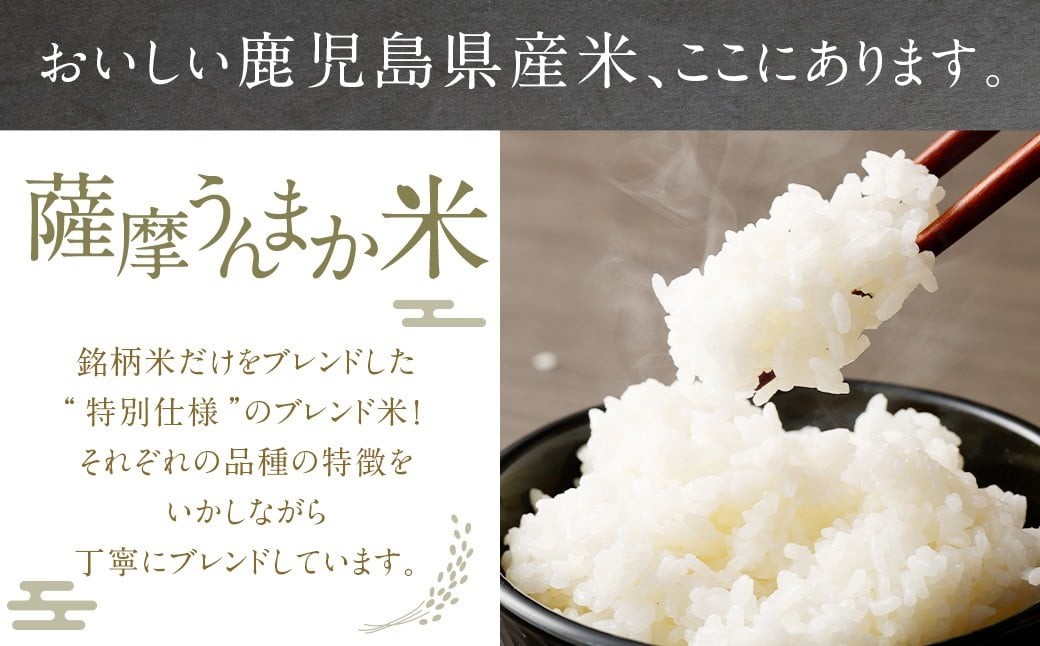 【6回定期便】 鹿児島県産 銘柄米 ブレンド 薩摩うんまか米 （10kg×6回）