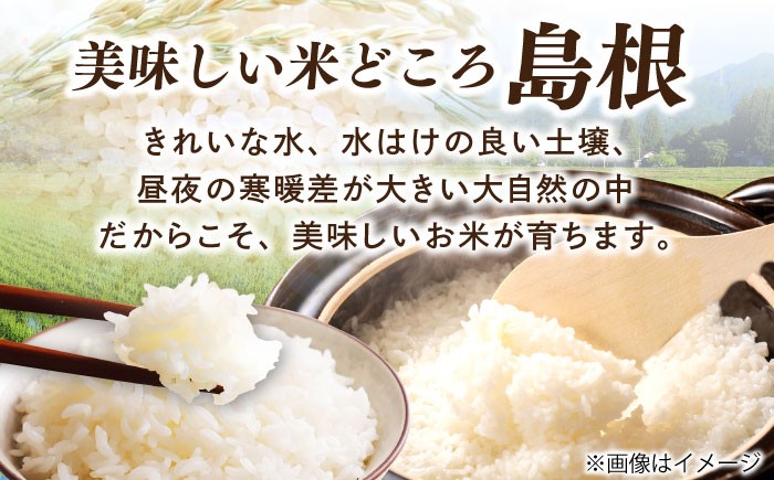 きぬむすめ 米 お米 白米 精米 ご飯 ごはん 産地直送 島根 松江 おすすめ 人気 令和7年産 特A 5kg 5キロ おいしい