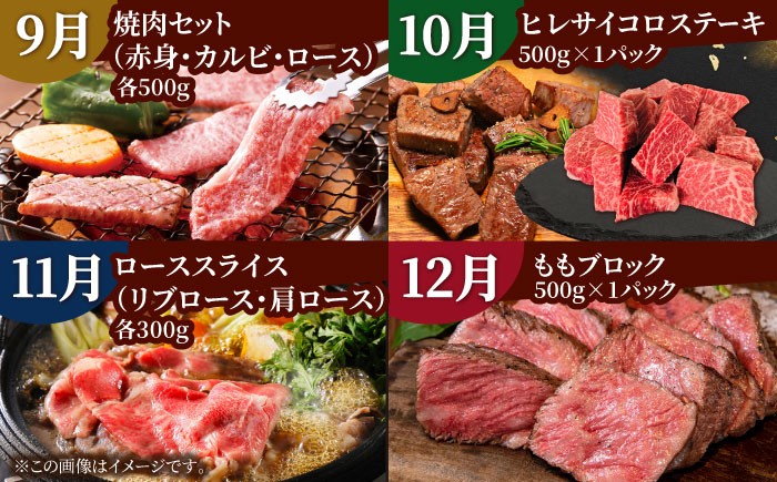 【全12回定期便】佐賀牛 贅沢コース【田中畜産牛肉店】定期便 黒毛和牛 牛肉 ヒレ ステーキ スライス 焼肉 [HBH135]
