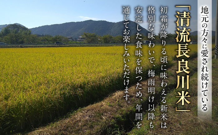 ハツシモ はしつも お米 米 こめ 白米 15kg 15キロ 定期便 米定期便