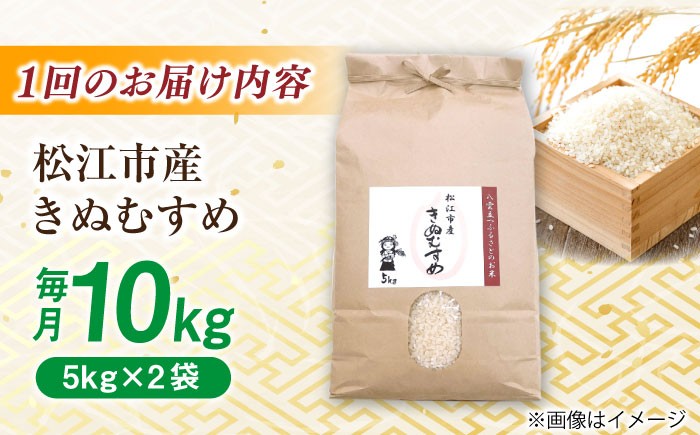 きぬむすめ 米 お米 白米 精米 定期便 ごはん 産地直送 島根 松江 おすすめ