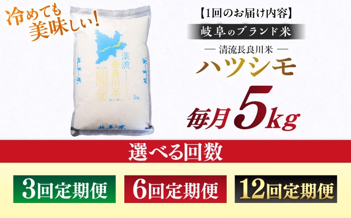 ハツシモ はしつも お米 米 こめ 白米 5kg 5キロ 定期便 米定期便