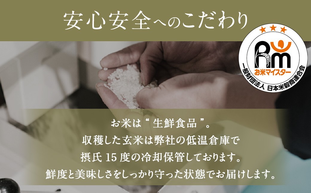 【12回定期便】 鹿児島県産 銘柄米 ブレンド 薩摩うんまか米 （10kg×12回）
