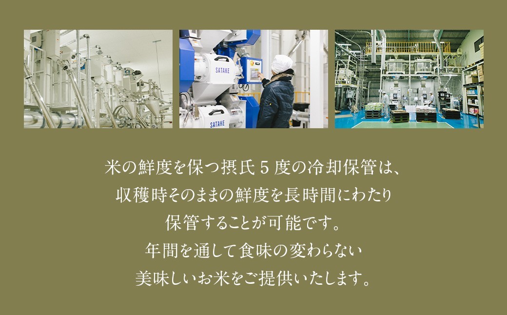 【12回定期便】 鹿児島県産 銘柄米 ブレンド 薩摩うんまか米 （10kg×12回）