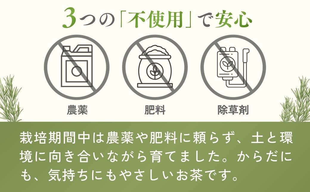 ハーブティー ブレンドティー お茶 紅茶 ティーバッグ ティーパック レモングラス ハーブ リラックス 