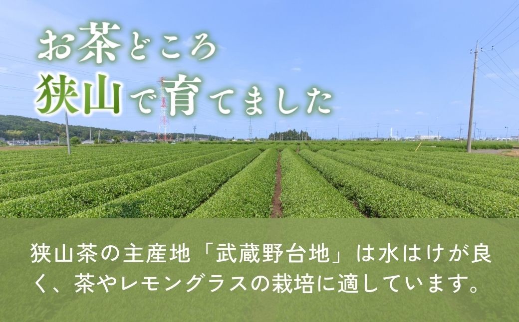 ハーブティー ブレンドティー お茶 紅茶 ティーバッグ ティーパック レモングラス ハーブ リラックス 