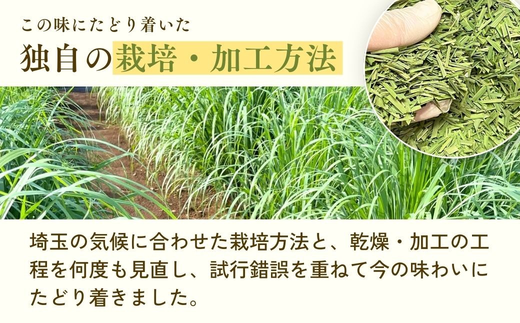 ハーブティー お茶 狭山茶 紅茶 和紅茶 ブレンドティー ティーバッグ ティーパック レモングラス ハーブ