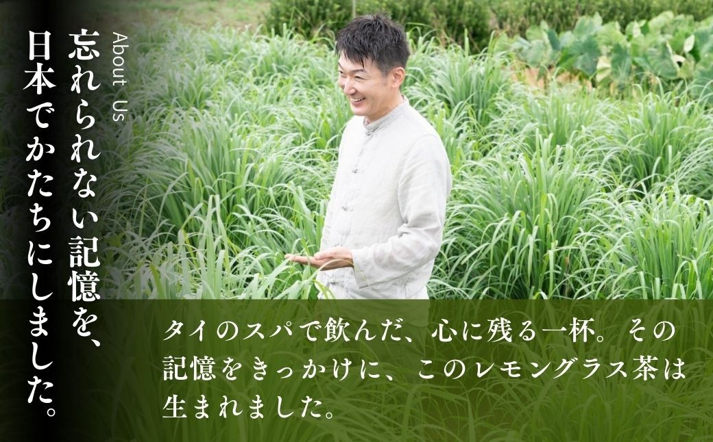 ハーブティー お茶 狭山茶 紅茶 和紅茶 ブレンドティー ティーバッグ ティーパック レモングラス ハーブ