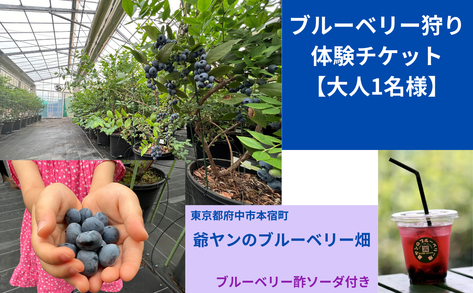 200g摘み取り分が体験に含まれています。