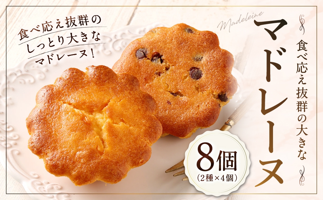 大きい！マドレーヌ（プレーン・チョコチップ） 8個