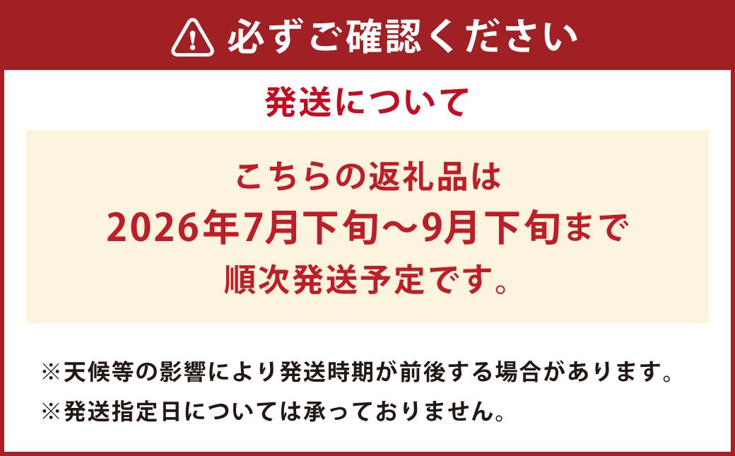 イチジク （とよみつひめ） L玉 12個入り