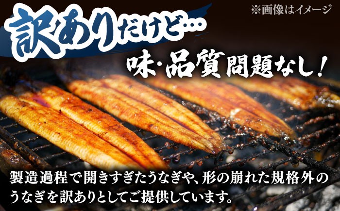 うなぎ 蒲焼き 国産 鹿児島 セット