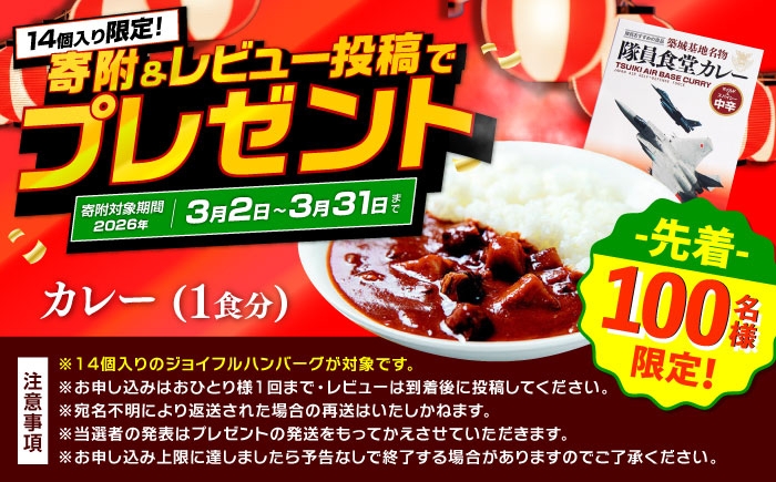 牛100% 食べ比べ 大容量 肉 牛 ハンバーグ ファミレス 冷凍 簡単 おかず チーズ 小分け 個包装 保存料不使用 人気