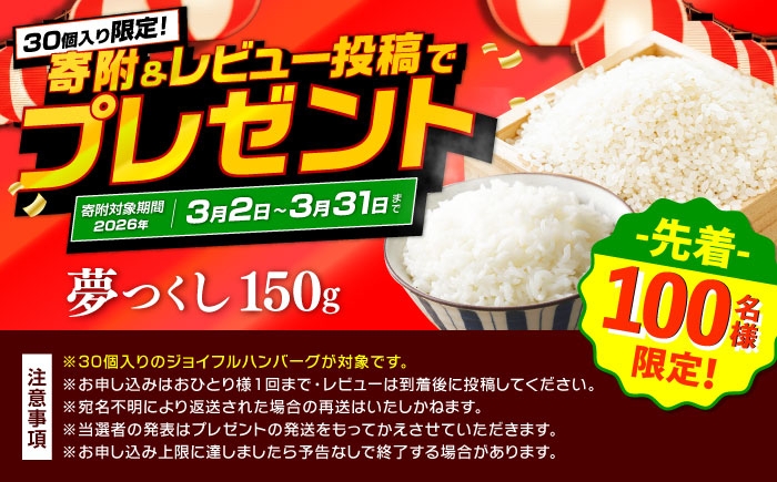 ジョイフル ハンバーグ 小分け 簡単 ファミレス 冷凍 弁当 仕送り 個包装 保存料不使用 人気