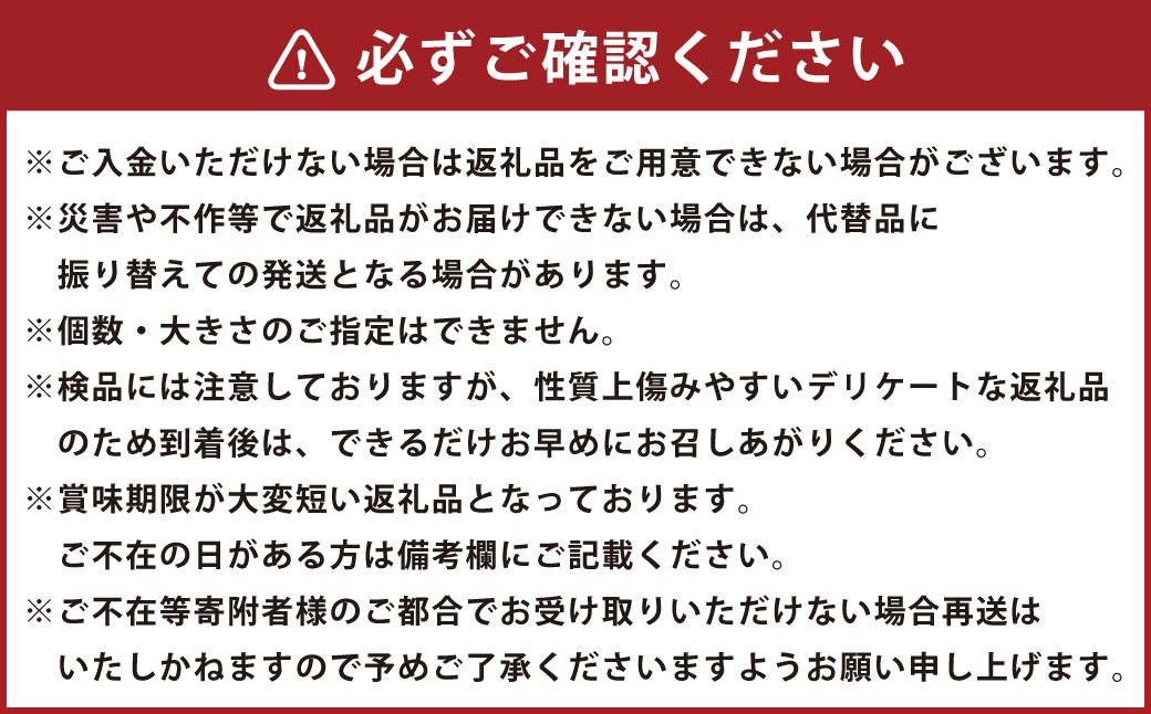 イチジク （とよみつひめ） L玉 12個入り