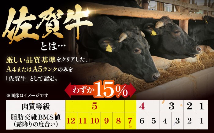  牛 豚 鶏肉 セット 佐賀牛 切り落とし ミンチ 牛肉 豚肉 鶏 肉 精肉 黒毛和牛 ありたどり 食べくらべ 新生活 仕送り