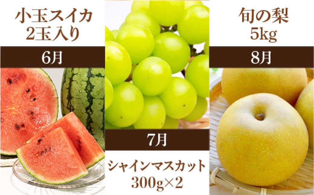 プロが選ぶ！旬の果物6ヶ月定期便