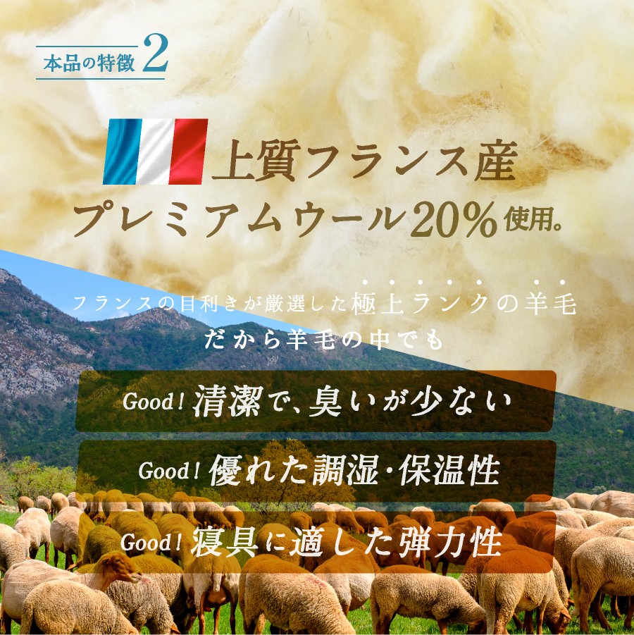 【洗える】羊毛混 合掛け布団 シングル フランス産プレミアムウール使用 寝具 ふとん軽い 軽量
