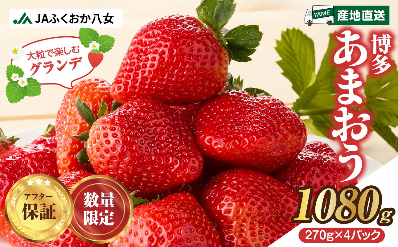 JAふくおか八女 アフター保証 数量限定 博多あまおう1,080g