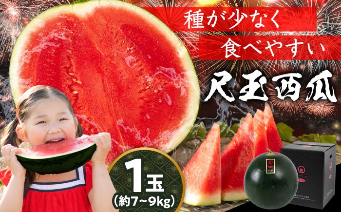 すいか スイカ 西瓜 尺玉スイカ 黒スイカ 果物 フールツ ブラックジャック