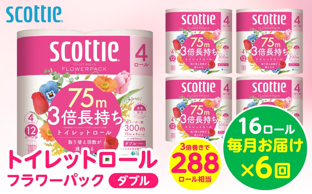 【定期便6回】【毎月お届け】【スコッティ】トイレットロール ダブル フラワーパック 3倍長持ち 16ロール 合計96ロール