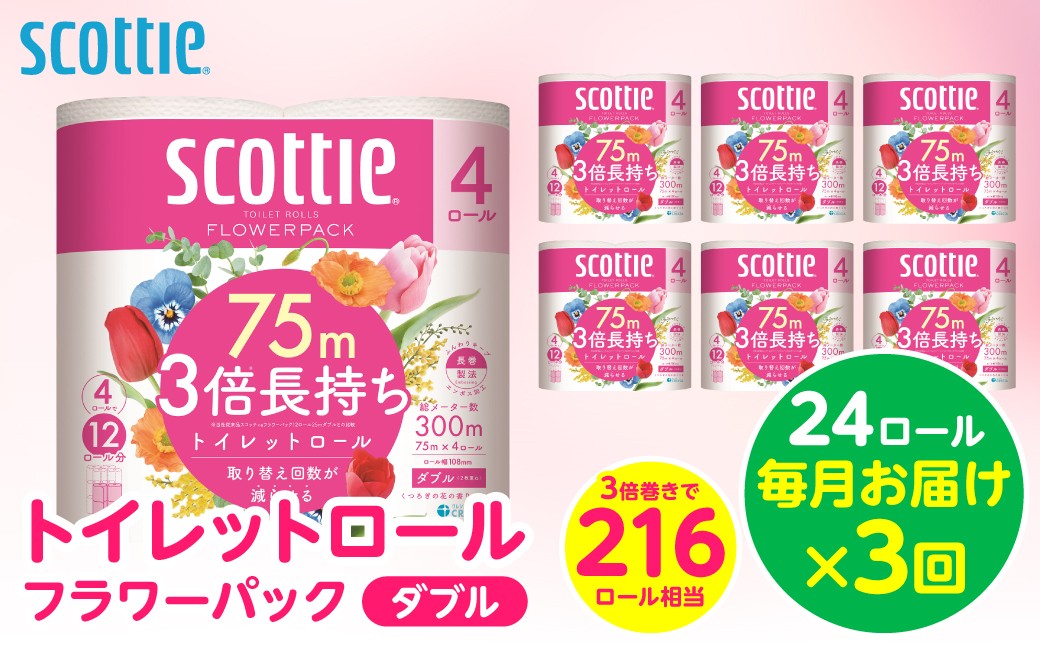 【定期便3回】【毎月お届け】【スコッティ】トイレットロール ダブル フラワーパック 3倍長持ち 24ロール 合計72ロール