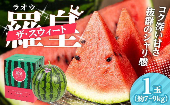 すいか スイカ 西瓜 尺玉スイカ くだもの 果物 糖度 羅皇ザスウィート 羅皇 産地直送 ギフト 贈り物 高級フルーツ 期間限定