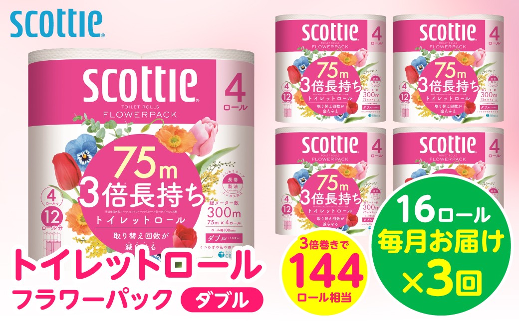 【定期便3回】【毎月お届け】【スコッティ】トイレットロール ダブル フラワーパック 3倍長持ち 16ロール 合計48ロール