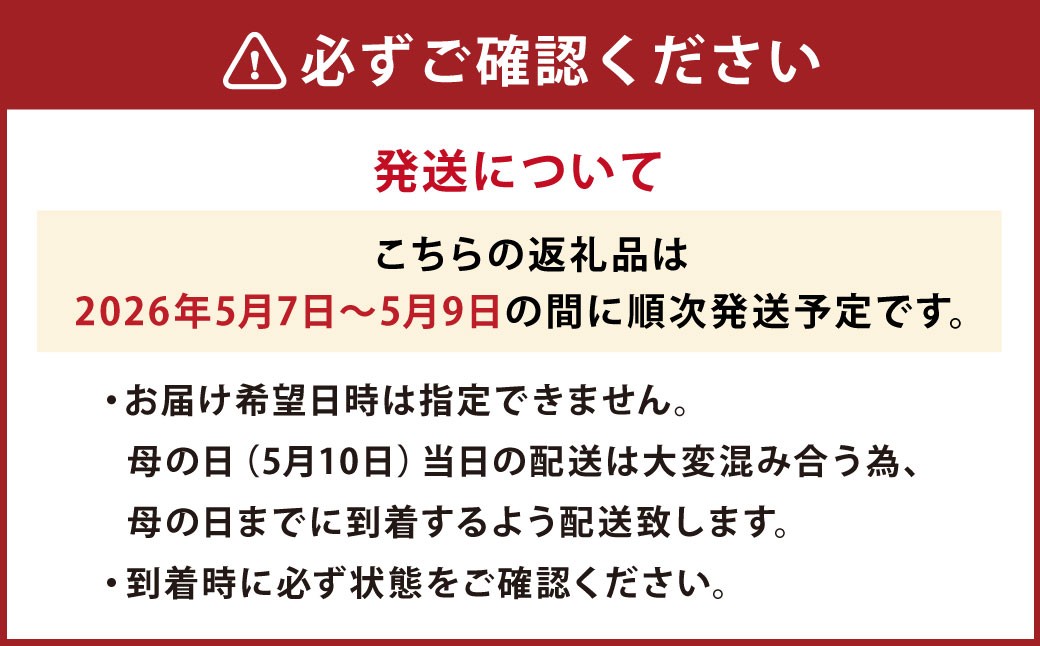 母の日にぴったりなカーネーションを中心にしたブーケ！花瓶付きタイプ	