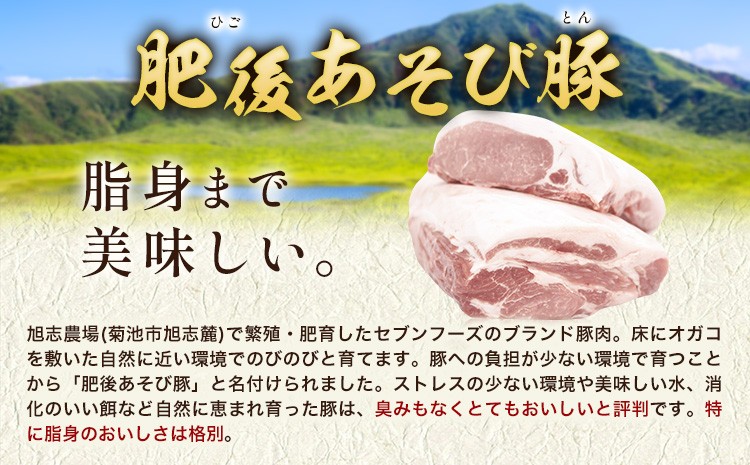 肥後 あそび豚 ヒレ 約1.2kg 国産 豚肉 ヘルシー ポーク