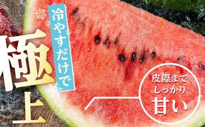 すいか スイカ 西瓜 尺玉スイカ くだもの 果物 糖度 羅皇ザスウィート 羅皇 産地直送 ギフト 贈り物 高級フルーツ 期間限定