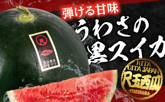 すいか スイカ 西瓜 尺玉スイカ 黒スイカ 果物 フールツ ブラックジャック