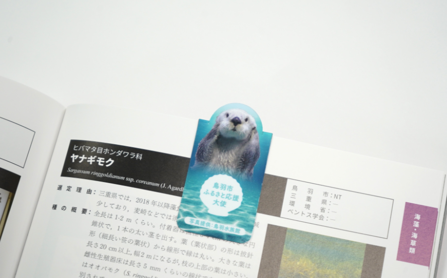 鳥羽市ふるさと応援大使ラッコのメイ氏のしおり マグネット仕様