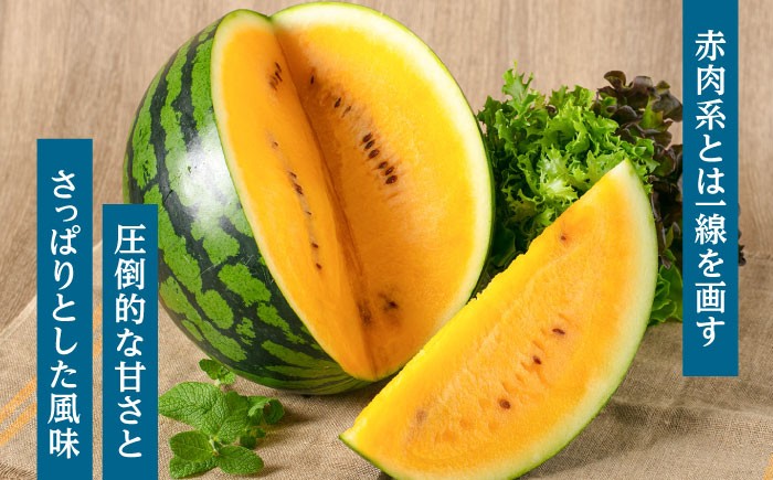 スイカ すいか 西瓜 JA 水分補給 夏バテ 熱中症対策 夏の果物 日田 フルーツ 果物 デザート 金色羅皇  黄色いスイカ 
