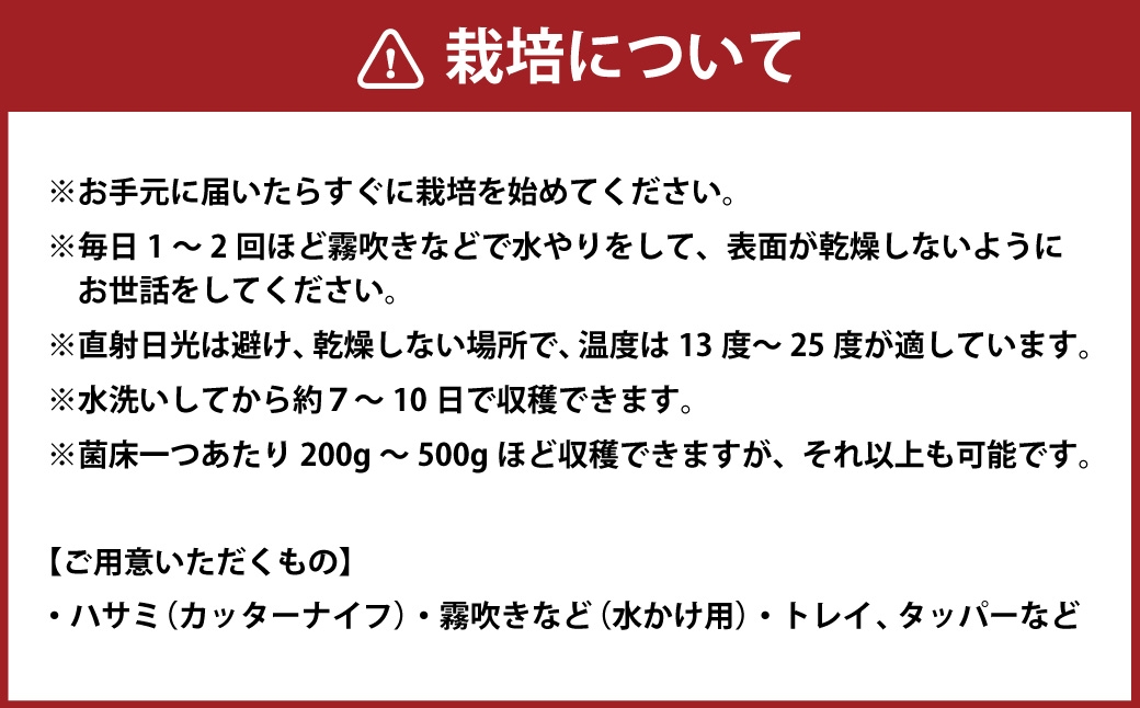 しいたけ栽培キット（菌床2個セット）