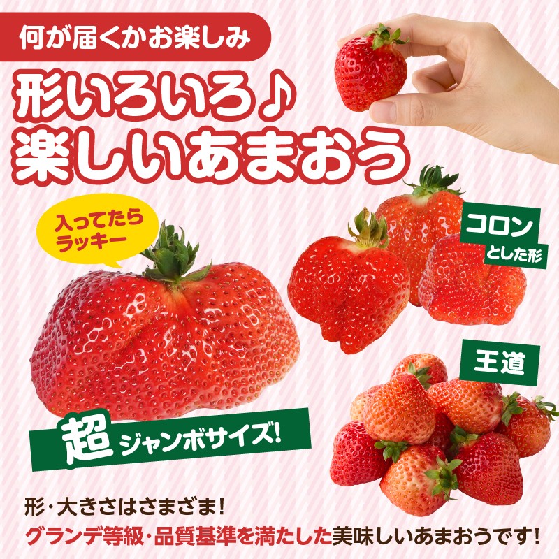 食べ応えのある、大きめの果実