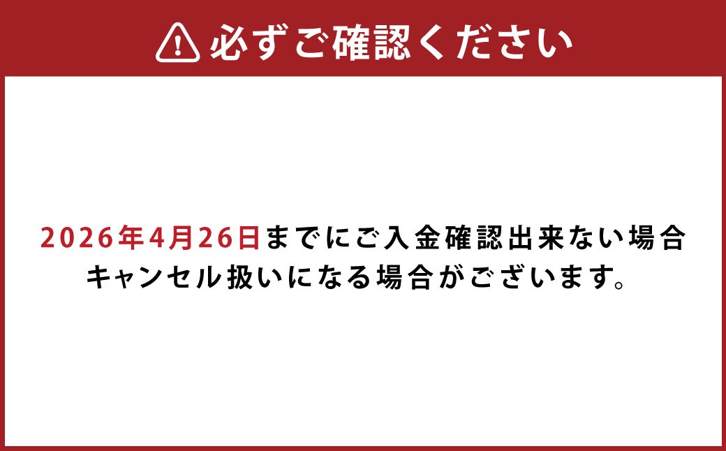 母の日にぴったりなカーネーションを中心に季節のお花を束ねたブーケ