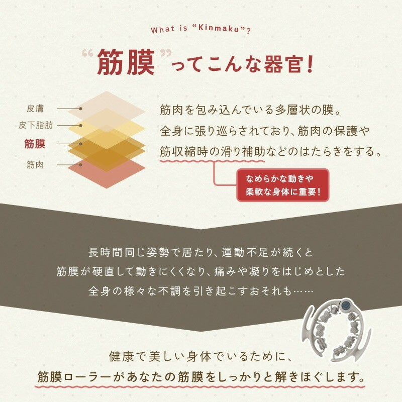 筋膜ってこんな器官